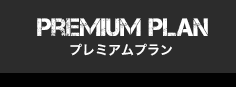 PREMIUM PLAN@v~Av